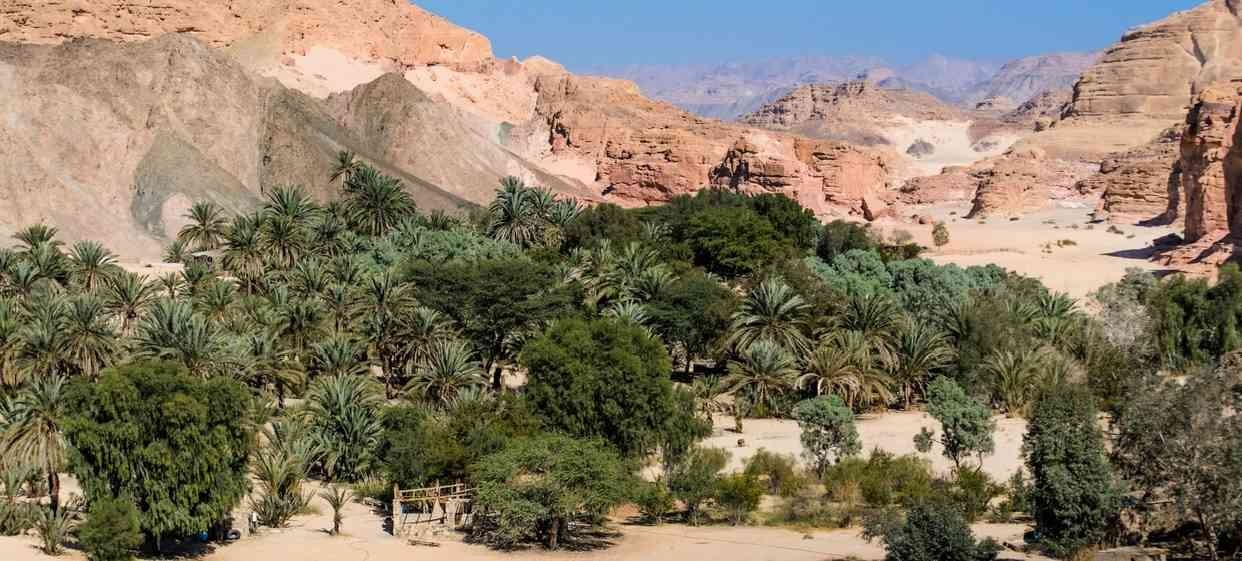 TOUR DI SIWA DAL CAIRO | 3 GIORNI
